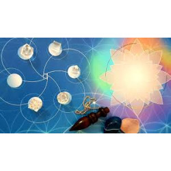 Mesa Radiónica Quântica Saúde Física e Vitalidade